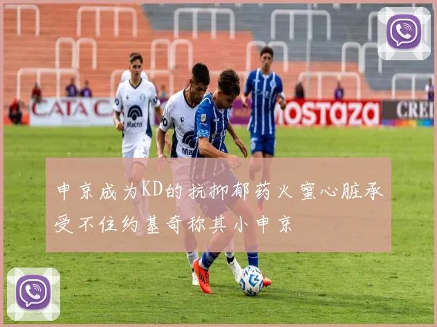 申京成为KD的抗抑郁药火蜜心脏承受不住约基奇称其小申京