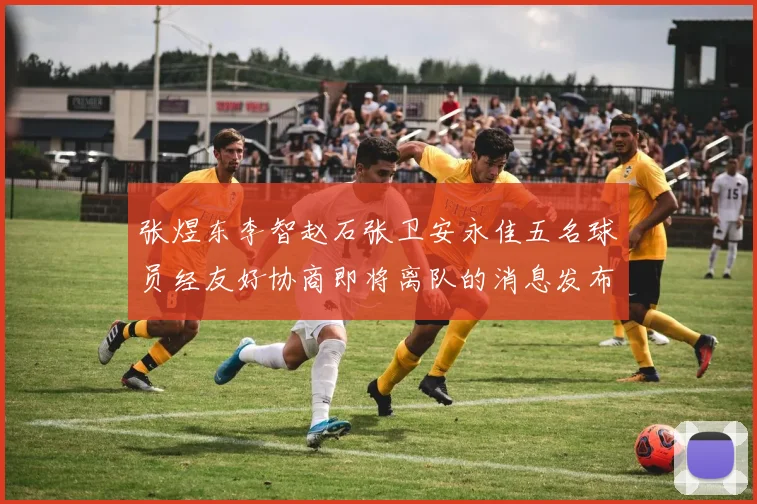 张煜东李智赵石张卫安永佳五名球员经友好协商即将离队的消息发布