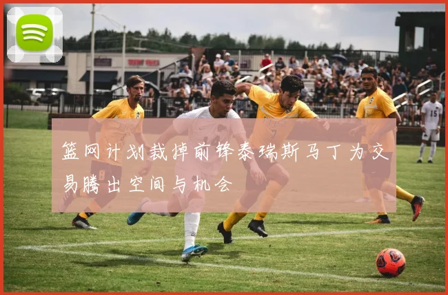 篮网计划裁掉前锋泰瑞斯马丁为交易腾出空间与机会