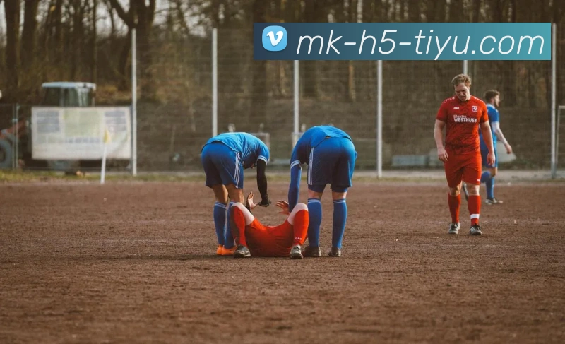 MK体育APP 体育赛事宣传图